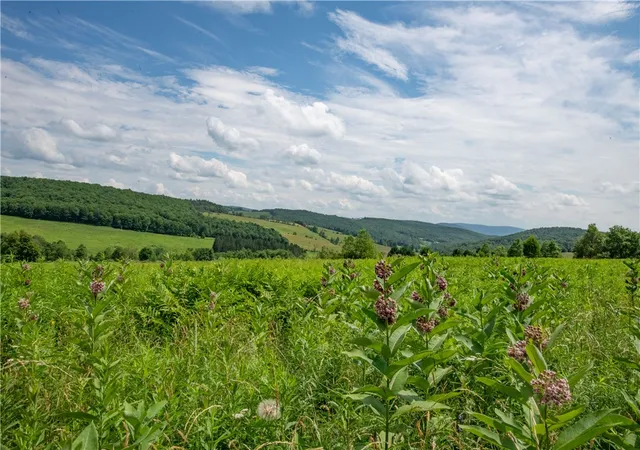 Homes for sale in Franklin, NY | 2690 Freer Hollow Rd, Franklin, NY 13755 | MLS# R1684183