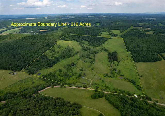 Homes for sale in Franklin, NY | 2690 Freer Hollow Rd, Franklin, NY 13755 | MLS# R1684183