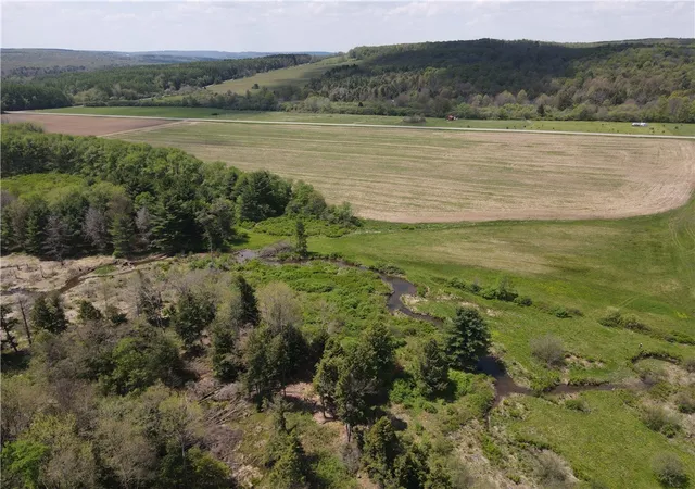 Homes for sale in Grove, NY | Lot 1 County Road 16, Grove, NY 14884 | MLS# R1684162