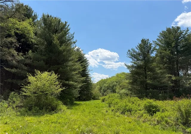 Homes for sale in Grove, NY | Lot 1 County Road 16, Grove, NY 14884 | MLS# R1684162