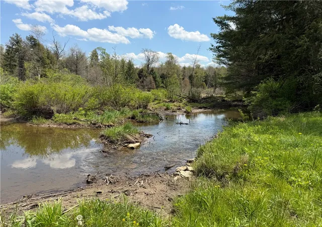 Homes for sale in Grove, NY | Lot 1 County Road 16, Grove, NY 14884 | MLS# R1684162