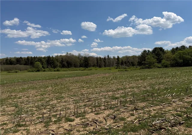 Homes for sale in Grove, NY | Lot 1 County Road 16, Grove, NY 14884 | MLS# R1684162