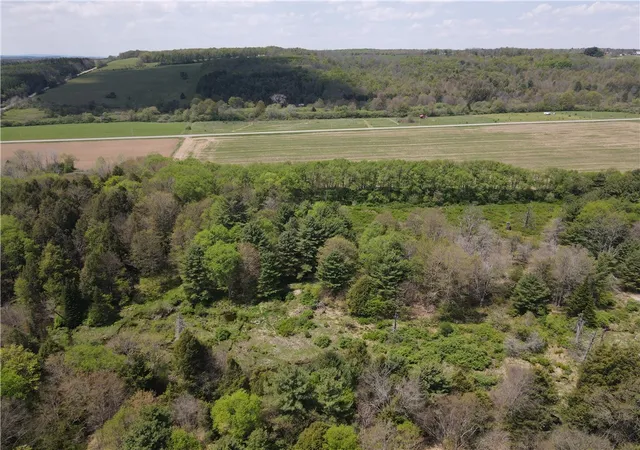 Homes for sale in Grove, NY | Lot 03 County Road 16, Grove, NY 14884 | MLS# R1684165