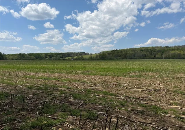 Homes for sale in Grove, NY | Lot 03 County Road 16, Grove, NY 14884 | MLS# R1684165