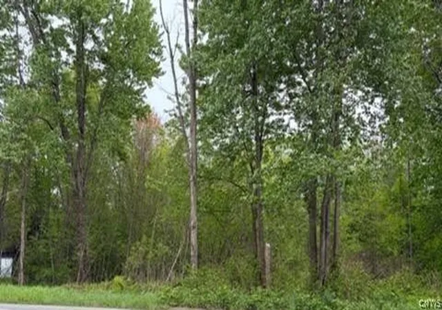 Homes for sale in Vienna, NY | Rt 13, E E, Vienna, NY 13308 | MLS# S1683512