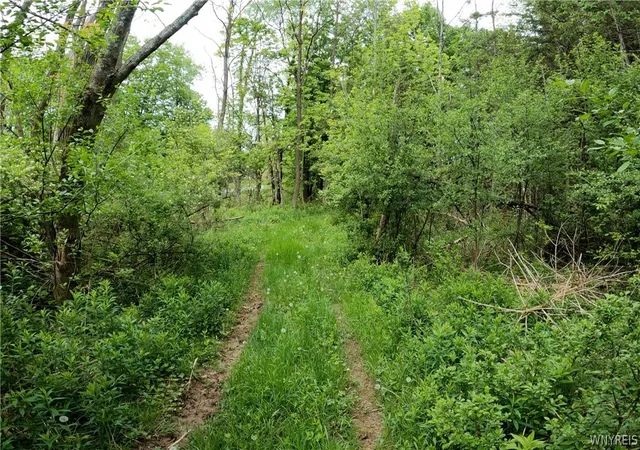 Photo 4 of House for sale at Vl Vermont Hl Rd, South Wales, NY 14139 | MLS# B1684041 | Listing updated on 2026-06-26