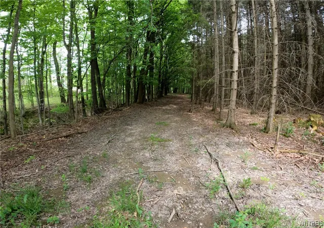 Photo 5 of House for sale at Vl Vermont Hl Rd, South Wales, NY 14139 | MLS# B1684041 | Listing updated on 2026-06-26