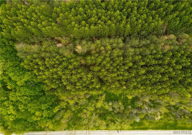 Photo 8 of Land for sale at Vl Vermont Hl Rd, South Wales, NY 14139 | MLS# B1684041 | Listing updated on 2026-06-26