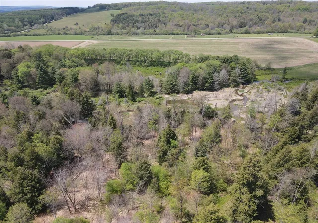Homes for sale in Grove, NY | Lot 2 County Road 16, Grove, NY 14884 | MLS# R1684163
