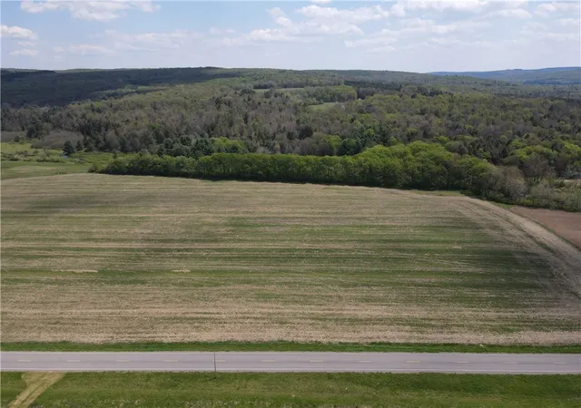 Homes for sale in Grove, NY | Lot 2 County Road 16, Grove, NY 14884 | MLS# R1684163
