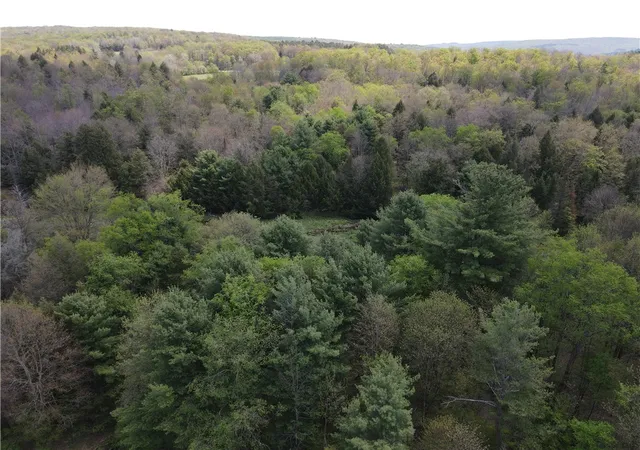 Homes for sale in Grove, NY | Lot 2 County Road 16, Grove, NY 14884 | MLS# R1684163