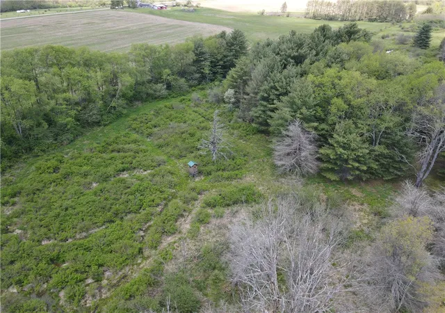 Homes for sale in Grove, NY | Lot 2 County Road 16, Grove, NY 14884 | MLS# R1684163