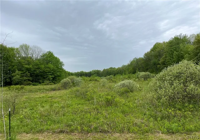 Homes for sale in Albion, NY | Hong Kong Rd, Albion, NY 13142 | MLS# S1684292