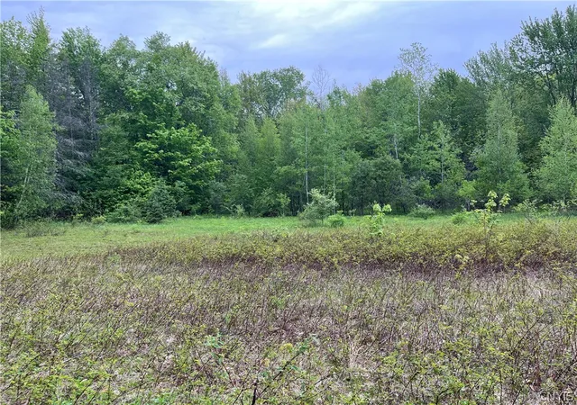 Homes for sale in Albion, NY | Hong Kong Rd, Albion, NY 13142 | MLS# S1684292