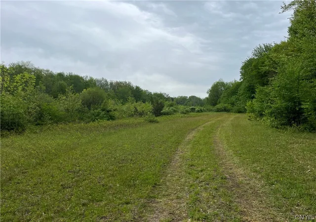 Homes for sale in Albion, NY | Hong Kong Rd, Albion, NY 13142 | MLS# S1684292