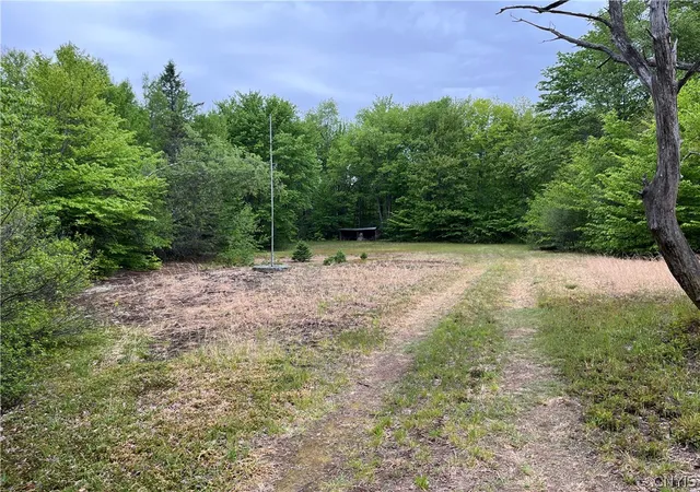 Homes for sale in Albion, NY | Hong Kong Rd, Albion, NY 13142 | MLS# S1684292
