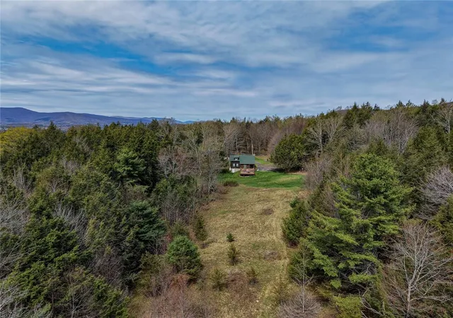 Homes for sale in Lexington, NY | 31 Van Etten Rd, Lexington, NY 12452 | MLS# R1683932
