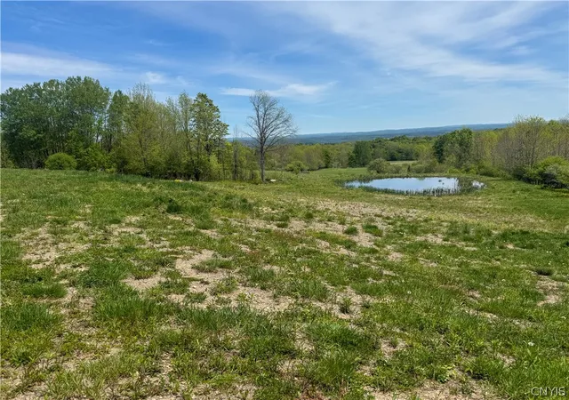 Homes for sale in Leyden, NY | 6275 Iseneker Rd, Leyden, NY 13325 | MLS# S1684386
