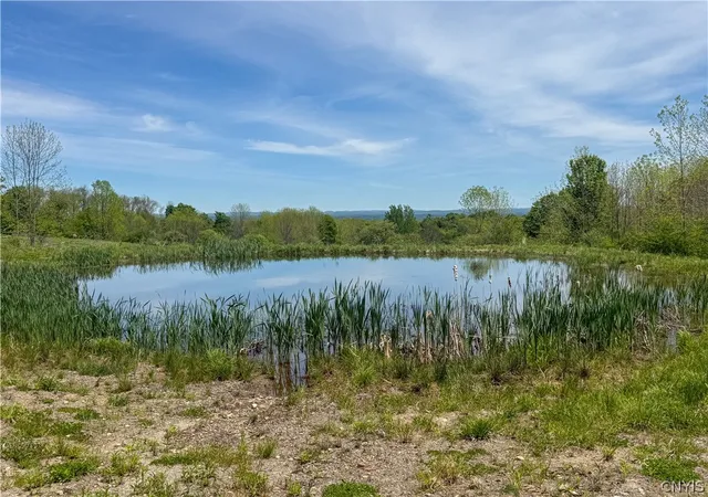 Homes for sale in Leyden, NY | 6275 Iseneker Rd, Leyden, NY 13325 | MLS# S1684386