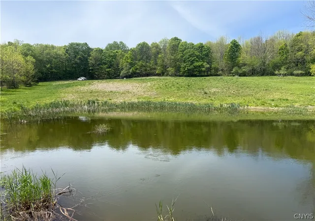 Homes for sale in Leyden, NY | 6275 Iseneker Rd, Leyden, NY 13325 | MLS# S1684386