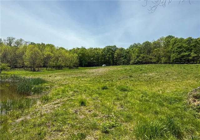 Homes for sale in Leyden, NY | 6275 Iseneker Rd, Leyden, NY 13325 | MLS# S1684386