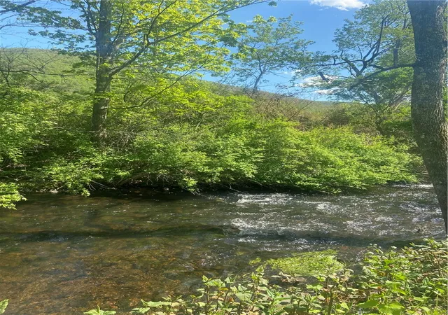 Photo 2 of Sale Pending at 100 Hubbells Cor Rd, Roxbury, NY 12474 | MLS# R1684093 | Listing updated on 2026-08-03