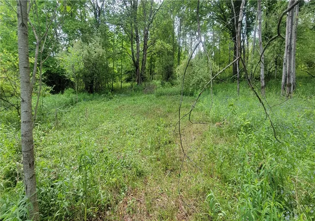 1st image of Mary Lynne Ln, Guilford, NY 13780 | MLS# R1683494