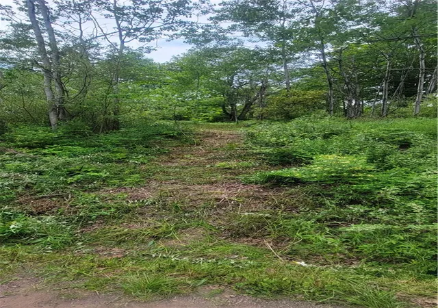 2nd image of Mary Lynne Ln, Guilford, NY 13780 | MLS# R1683494