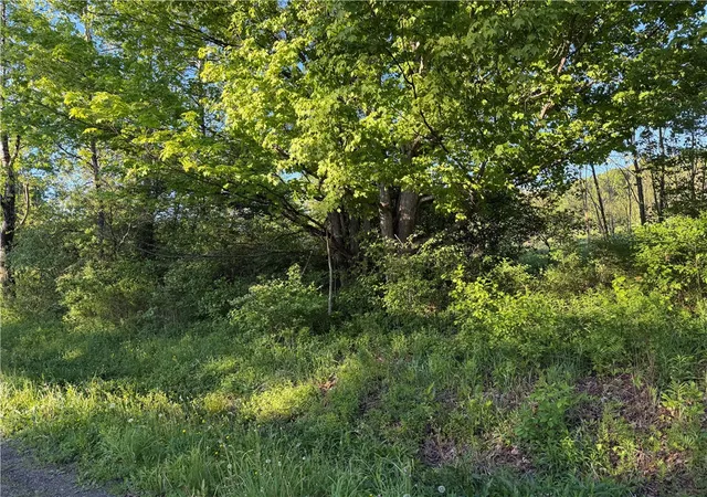 Homes for sale in Butternuts, NY | 0 County Hwy 4, Butternuts, NY 13776 | MLS# R1684439