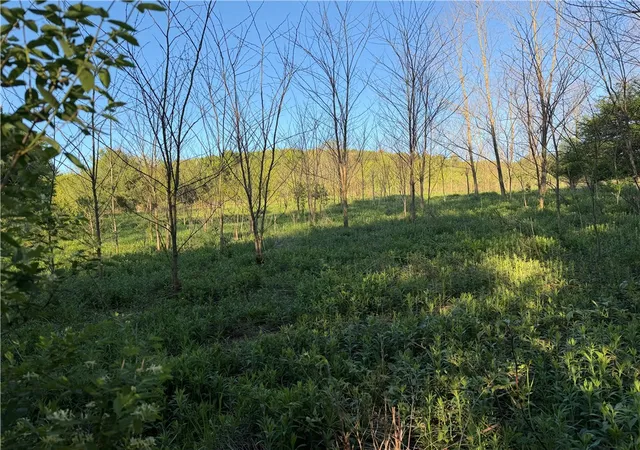 Homes for sale in Butternuts, NY | 0 County Hwy 4, Butternuts, NY 13776 | MLS# R1684439