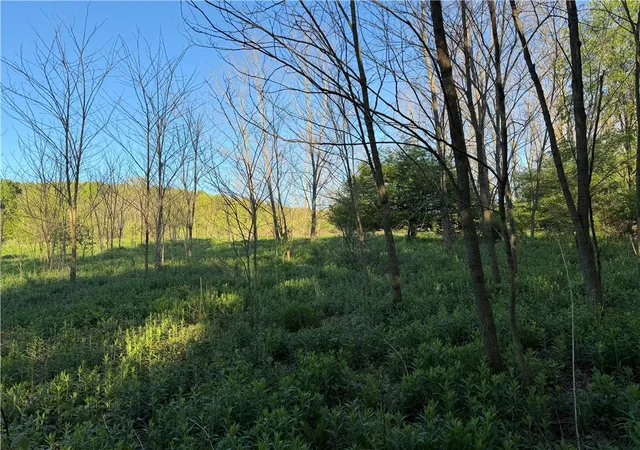 Photo 3 of Land for sale at 0 County Hwy 4, Butternuts, NY 13776 | MLS# R1684439 | Listing updated on 2026-06-02