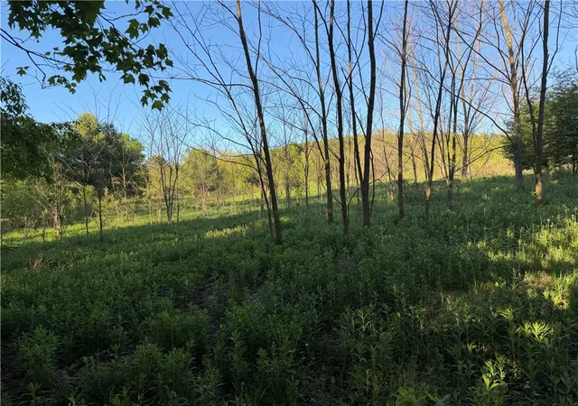 Homes for sale in Butternuts, NY | 0 County Hwy 4, Butternuts, NY 13776 | MLS# R1684439