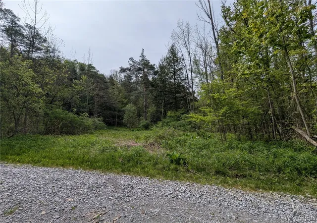 Homes for sale in Wethersfield, NY | 34 Treehaven Rd, Wethersfield, NY 14066 | MLS# B1683955