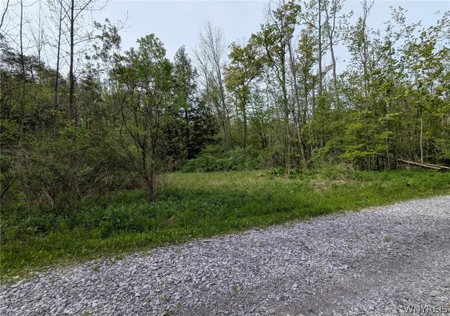 Homes for sale in Wethersfield, NY | 34 Treehaven Rd, Wethersfield, NY 14066 | MLS# B1683955