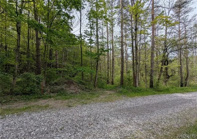 Homes for sale in Wethersfield, NY | 34 Treehaven Rd, Wethersfield, NY 14066 | MLS# B1683955