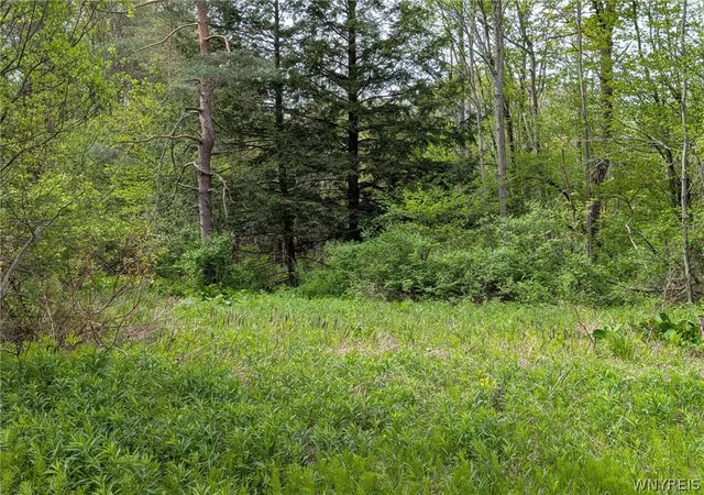 Homes for sale in Wethersfield, NY | 34 Treehaven Rd, Wethersfield, NY 14066 | MLS# B1683955