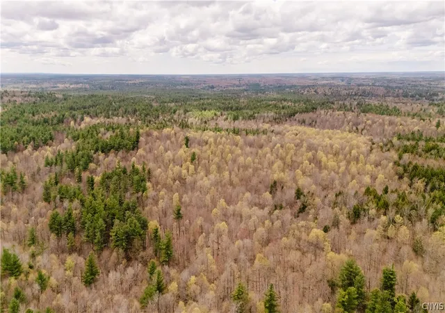 28th image of Lot 1 Bingo Rd, Edwards, NY 13635 | MLS# S1681591