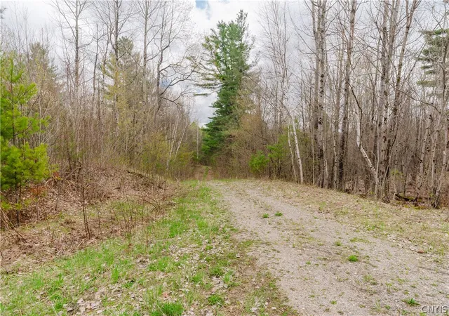 Photo 4 of Land for sale at 00 Bingo Rd, Edwards, NY 13635 | MLS# S1681618 | Listing updated on 2026-07-01
