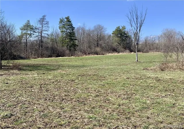 Homes for sale in Arcade, NY | 6320 Stinson Rd, Arcade, NY 14009 | MLS# B1684784