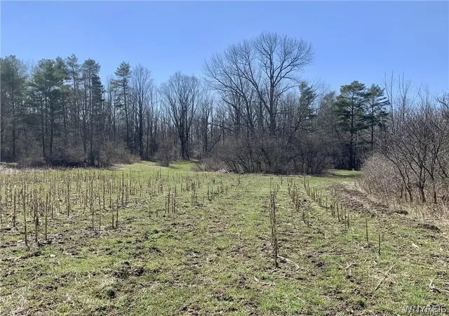 Homes for sale in Arcade, NY | 6320 Stinson Rd, Arcade, NY 14009 | MLS# B1684784