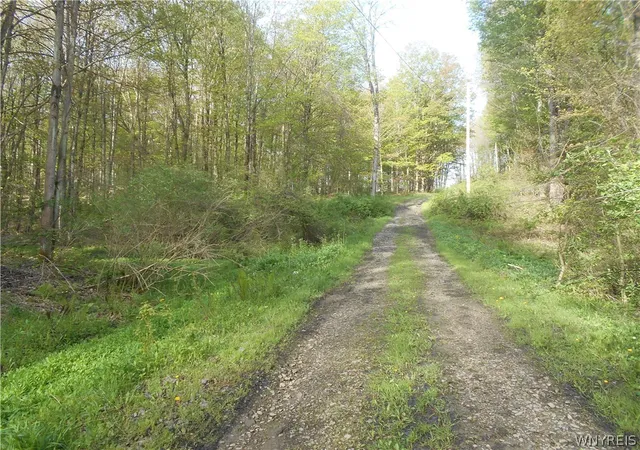 Homes for sale in Yorkshire, NY | 0 Neamon Dr, Yorkshire, NY 14042 | MLS# B1684429