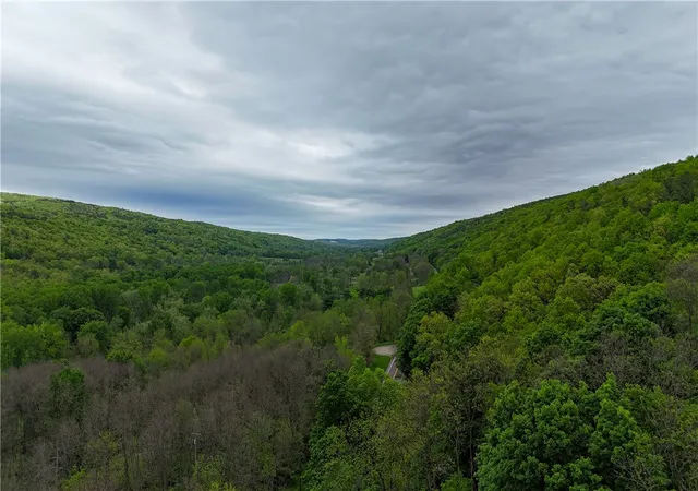 Homes for sale in Italy, NY | 1937 State Route 245, Italy, NY 14513 | MLS# R1684957