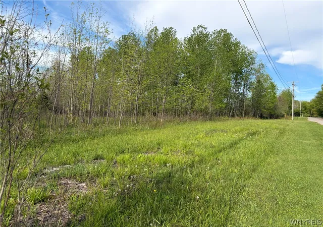 Homes for sale in Orangeville, NY | 0 Deer Pond Acres Lot #38, Orangeville, NY 14569 | MLS# B1684656