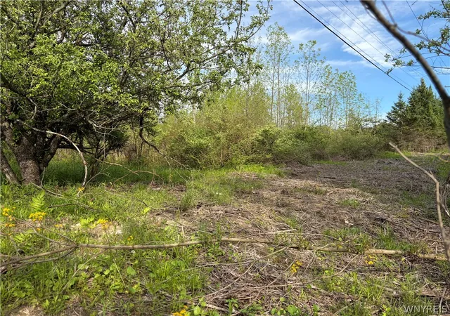 Homes for sale in Orangeville, NY | 0 Deer Pond Acres Lot #38, Orangeville, NY 14569 | MLS# B1684656
