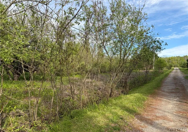 Homes for sale in Orangeville, NY | 0 Deer Pond Acres Lot #38, Orangeville, NY 14569 | MLS# B1684656