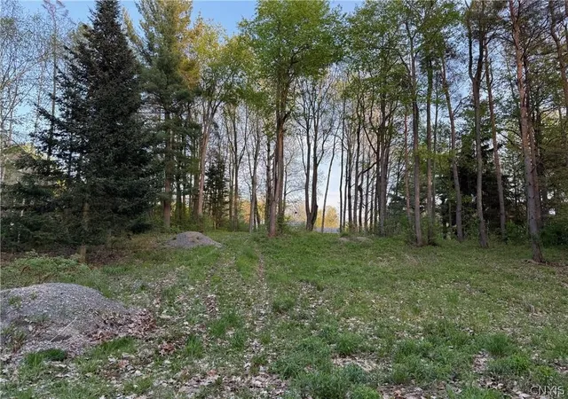 Homes for sale in Clayton, NY | 15189 Valley Dr, Clayton, NY 13624 | MLS# S1684786