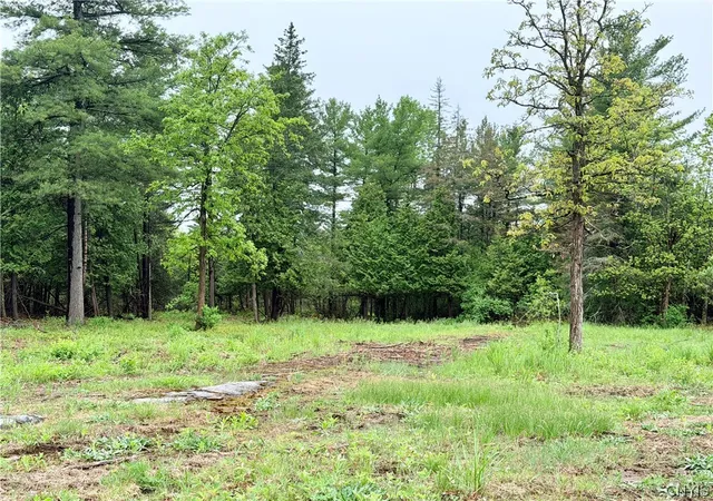 Homes for sale in Cape Vincent, NY | County Rte 8, Cape Vincent, NY 13618 | MLS# S1684833