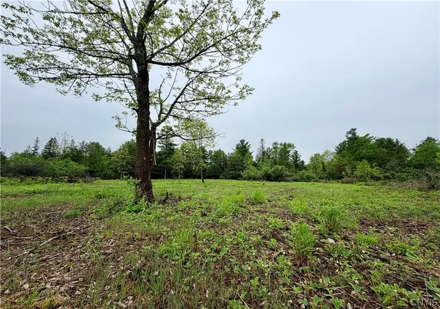 Homes for sale in Cape Vincent, NY | County Rte 8, Cape Vincent, NY 13618 | MLS# S1684833