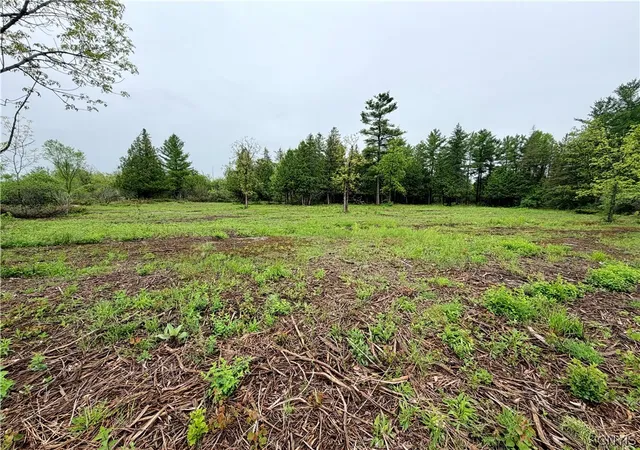 Homes for sale in Cape Vincent, NY | County Rte 8, Cape Vincent, NY 13618 | MLS# S1684833