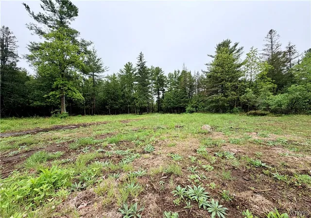 Homes for sale in Cape Vincent, NY | County Rte 8, Cape Vincent, NY 13618 | MLS# S1684833